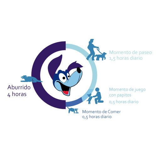 Enriquecimiento Ambiental para Perros: Mejorando su Calidad de Vida