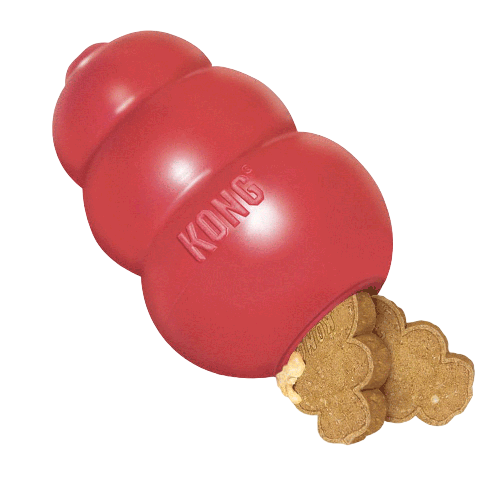 Kong classic perro original