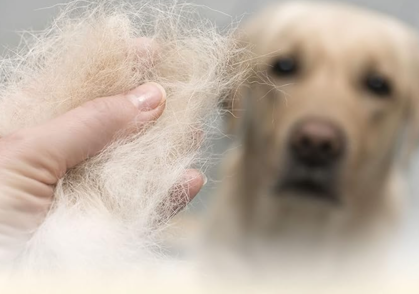 Furminator deslanador de nudos para perro Talla L