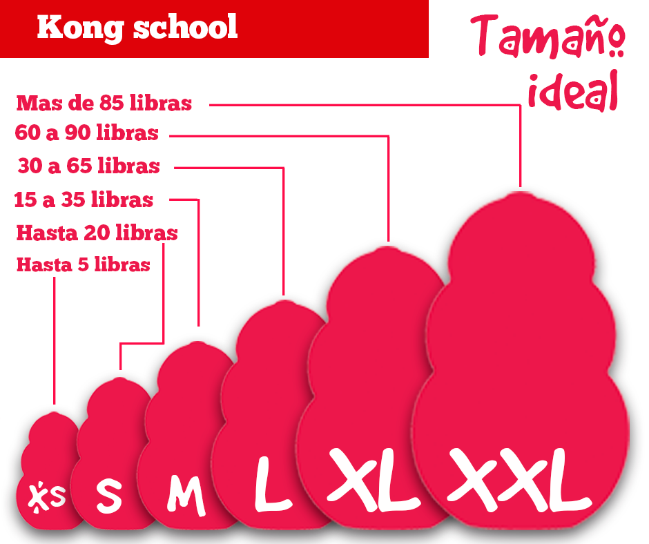 Kong classic perro original