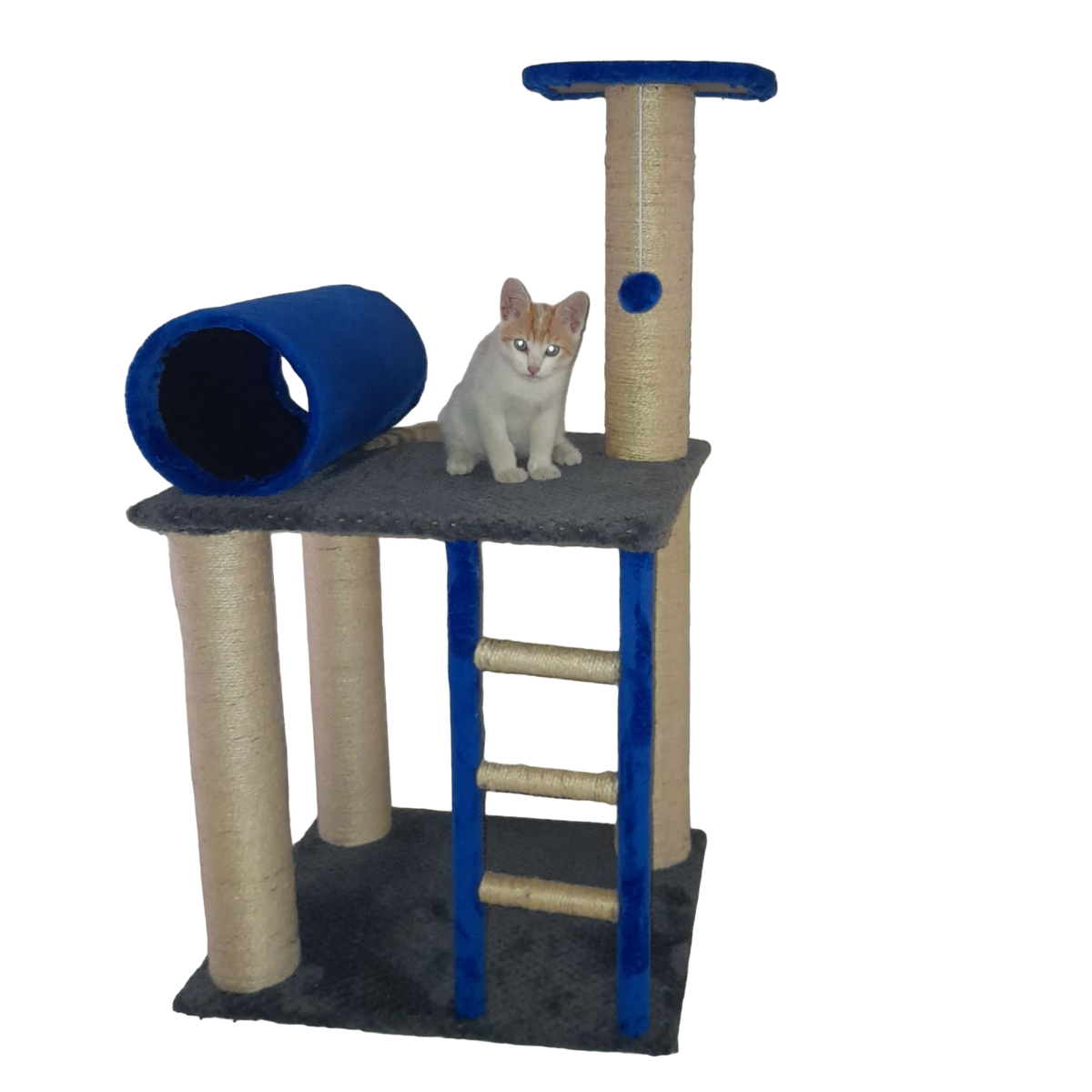 Arreglo de gimnasios para gato en Cali